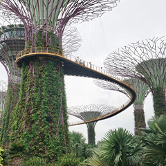 100周年記念サイト