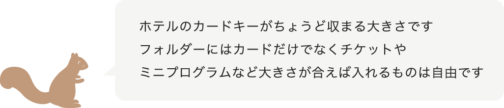 ホテルのカードキーがちょう収まる大きさです